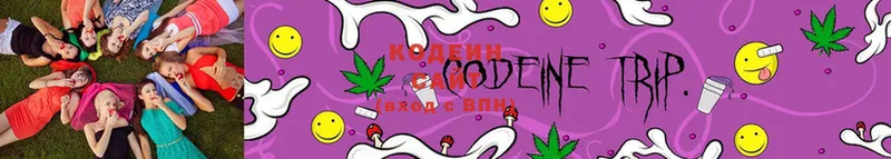 Codein Purple Drank  Железногорск 